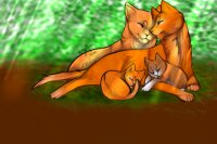 View topic - Firestar, Sandstorm, Leafkit, and Squirrelkit - Chicken ...