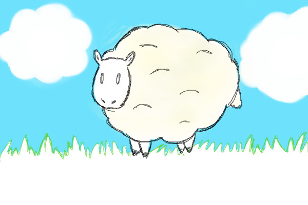 sheep -.-