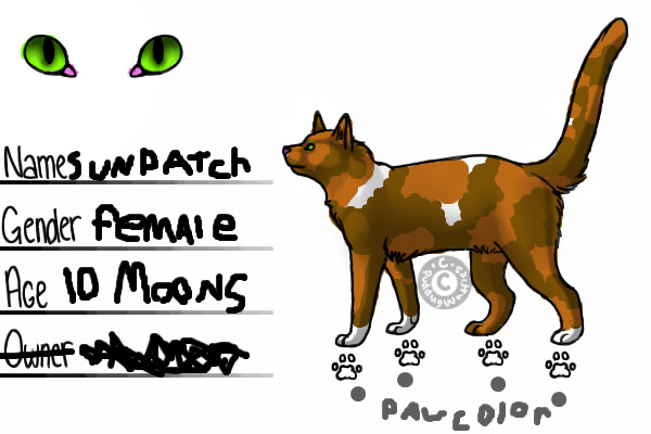 i fixed some stuff, but i didn't color in the paws!