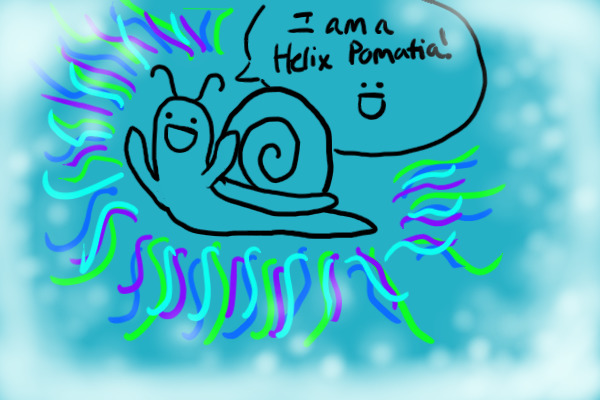 "I am a Helix Pomatia! :D"