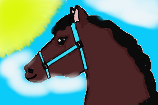 Do you like my horsey?