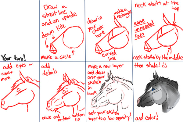 Horse head tutorial