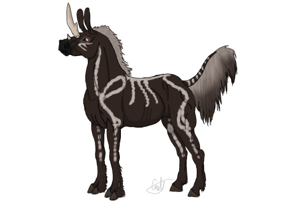 Male "Blue" Daran(unusual markings)
