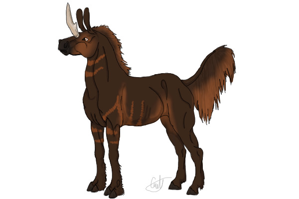 Female "copper" Daran