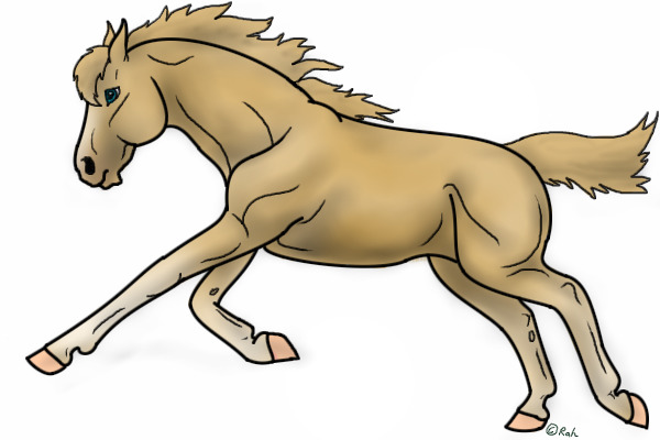 Charii Couture Adult Horse lines