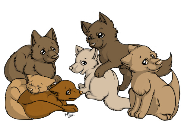 Puppy lines for Charii Couture