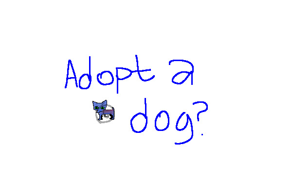 Dog adopts