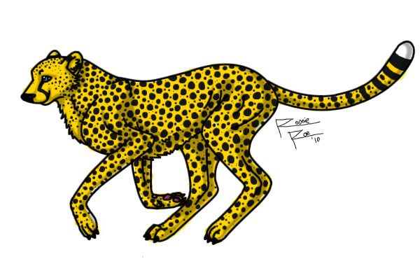 Cheetahs!