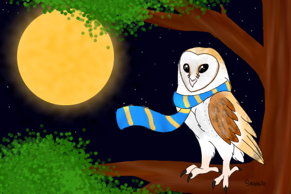 Ravenclaw owl