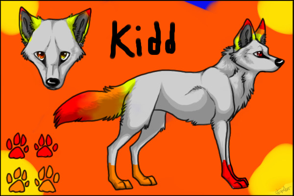 Kidd~ My fursona