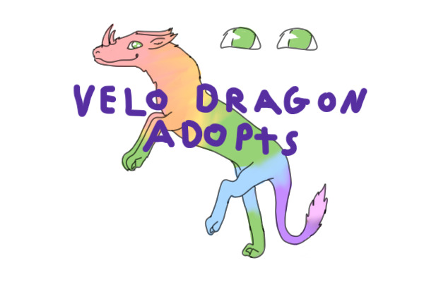 Velo Dragon Adopts