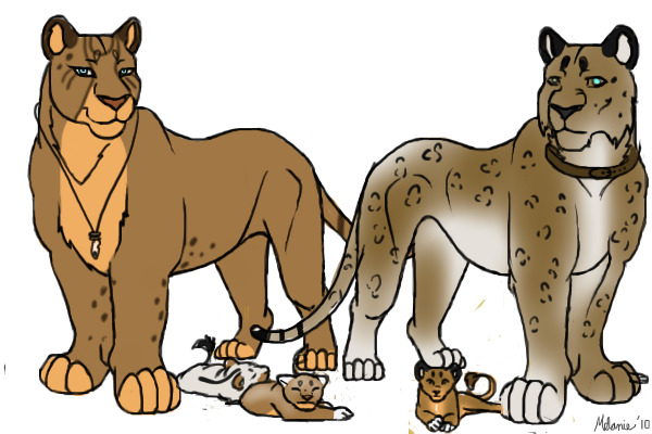 Tanner and nala cubs!