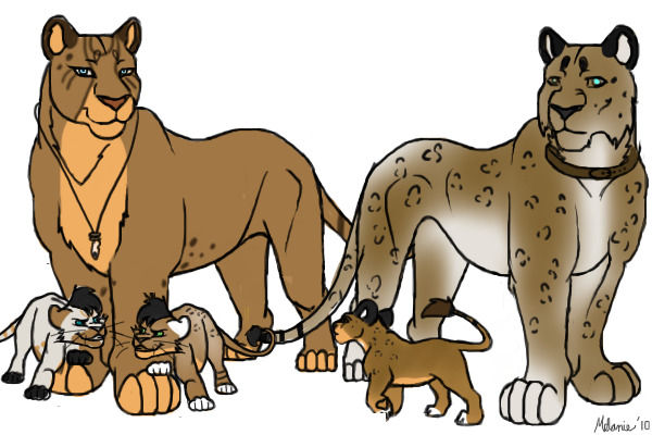 Nala and tanner cubs stage two