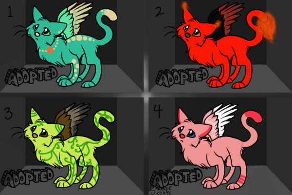 Adoptable kitties