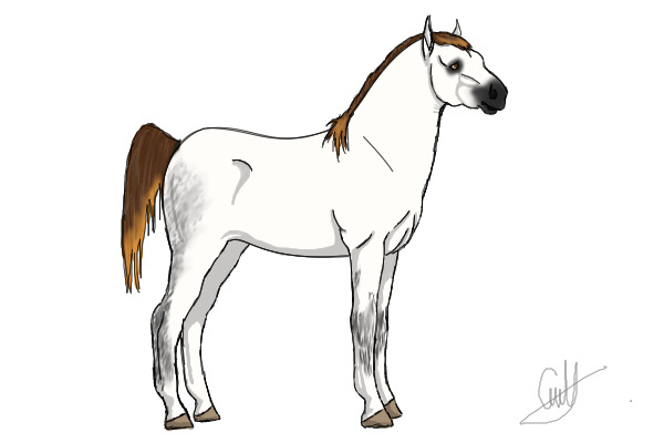 Editable Horses