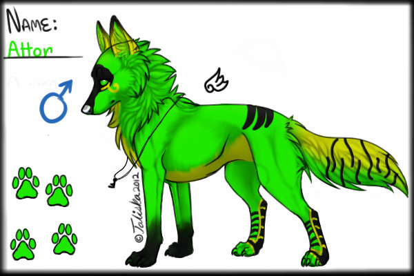 Attor Revamp
