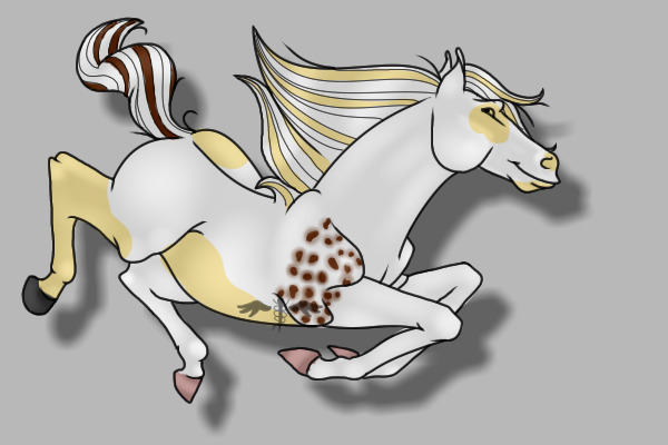 Random horse