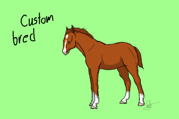 Custom Cestnut foal for eldoggy28