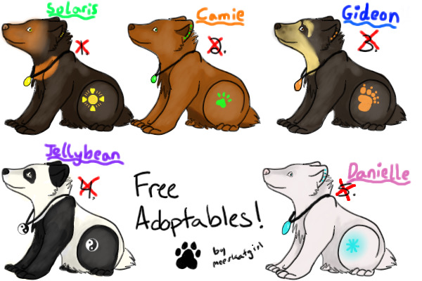 Bear adoptables!!