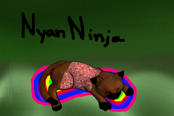 Nyan Ninja Cat