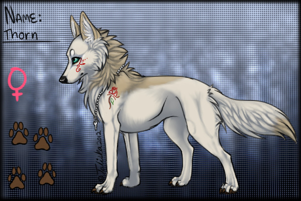 Thorn(new desine)