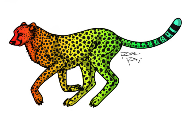 rainbow cheetah coloured in
