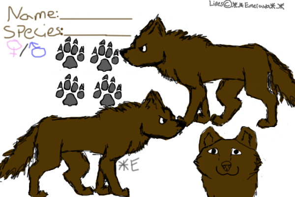 a wolf refrence sheet