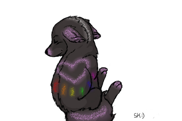 Sparkle Dog!
