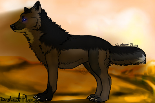 Arrok in the sun