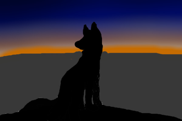 Wolf in the sunset