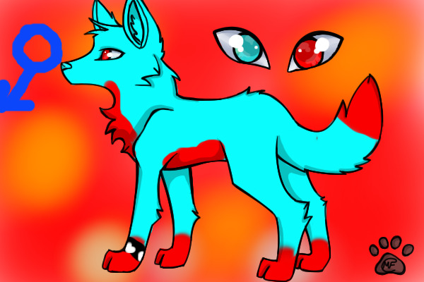 Blue wolfy contest thing