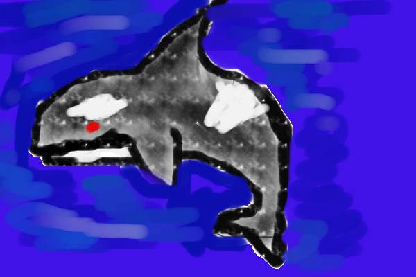 orca whale :D