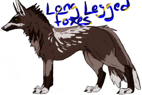 Long Legged Foxes