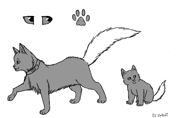 Feline Reference Sheet