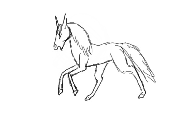 Horse