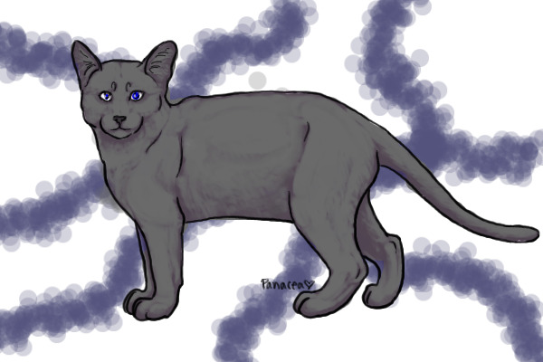 squirreltail