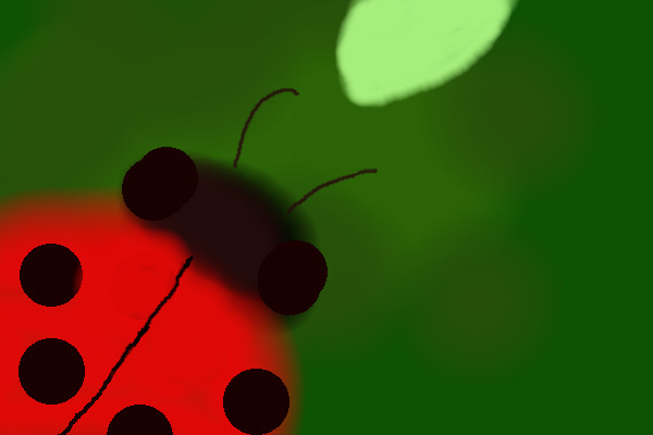 ladybug