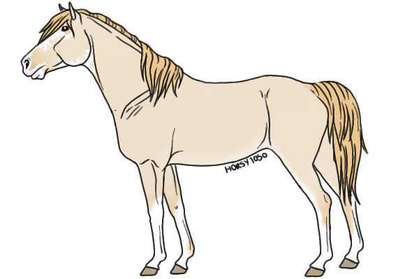 Horse Character design.