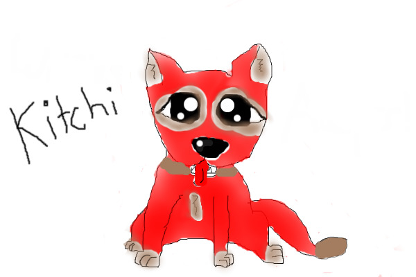 Kitchi