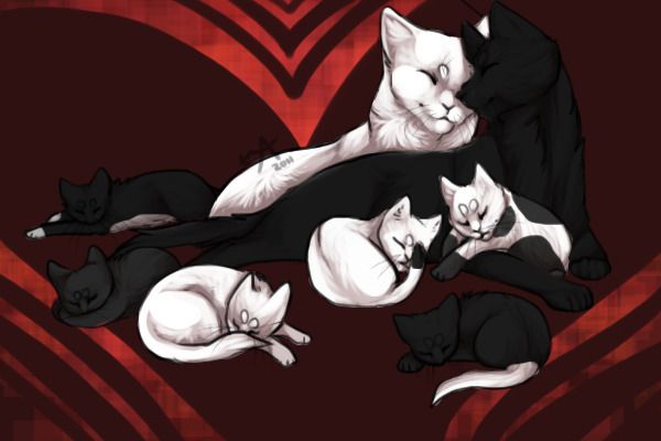 Cat Litter