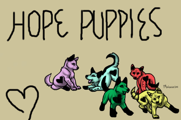 HOPE Puppies , for adoption . I give full credit to creator