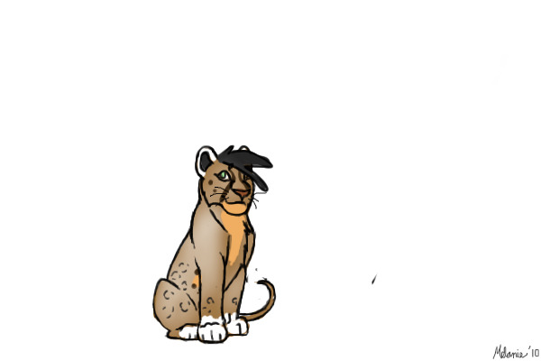 kopa