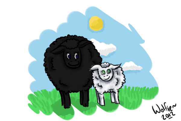 Adopted Baby Sheep