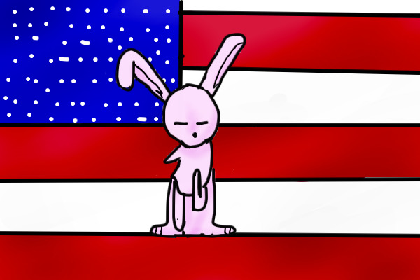 USA bunny