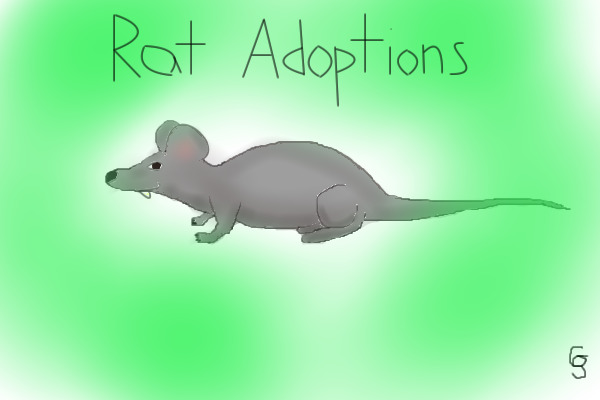 Rat FANCLUB Adoptions