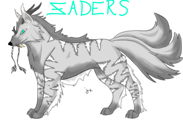 Zader Entry