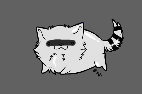Raccoon :3