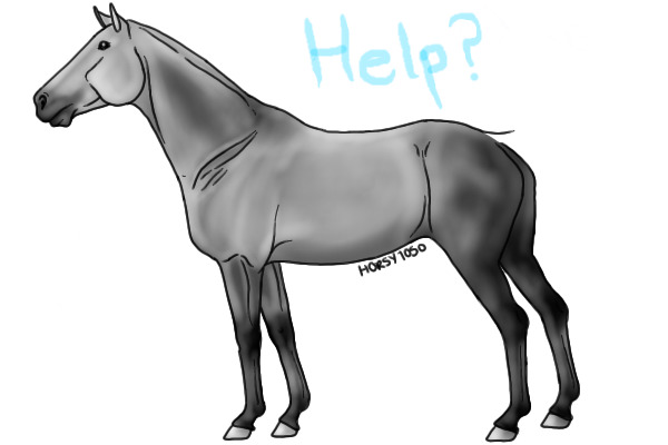 WIP grey horse