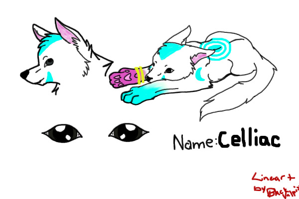 Celliac- My First Character