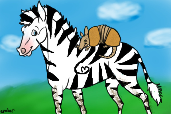 Zebra and Armadillo, best friends!